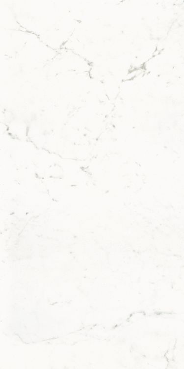Pure Carrara Lux 24 x 48